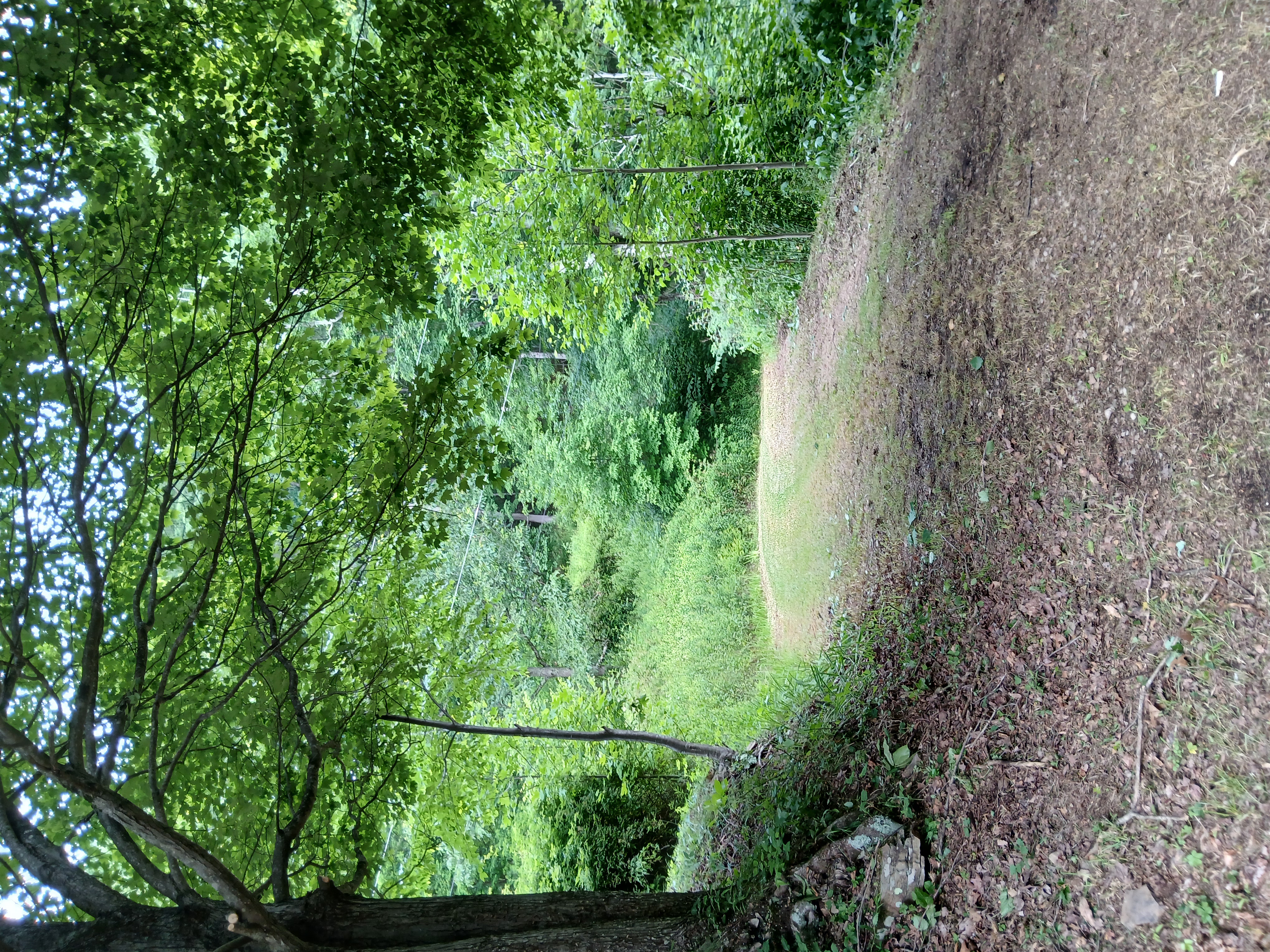 Bamber Lane Overhaul drive up after photo