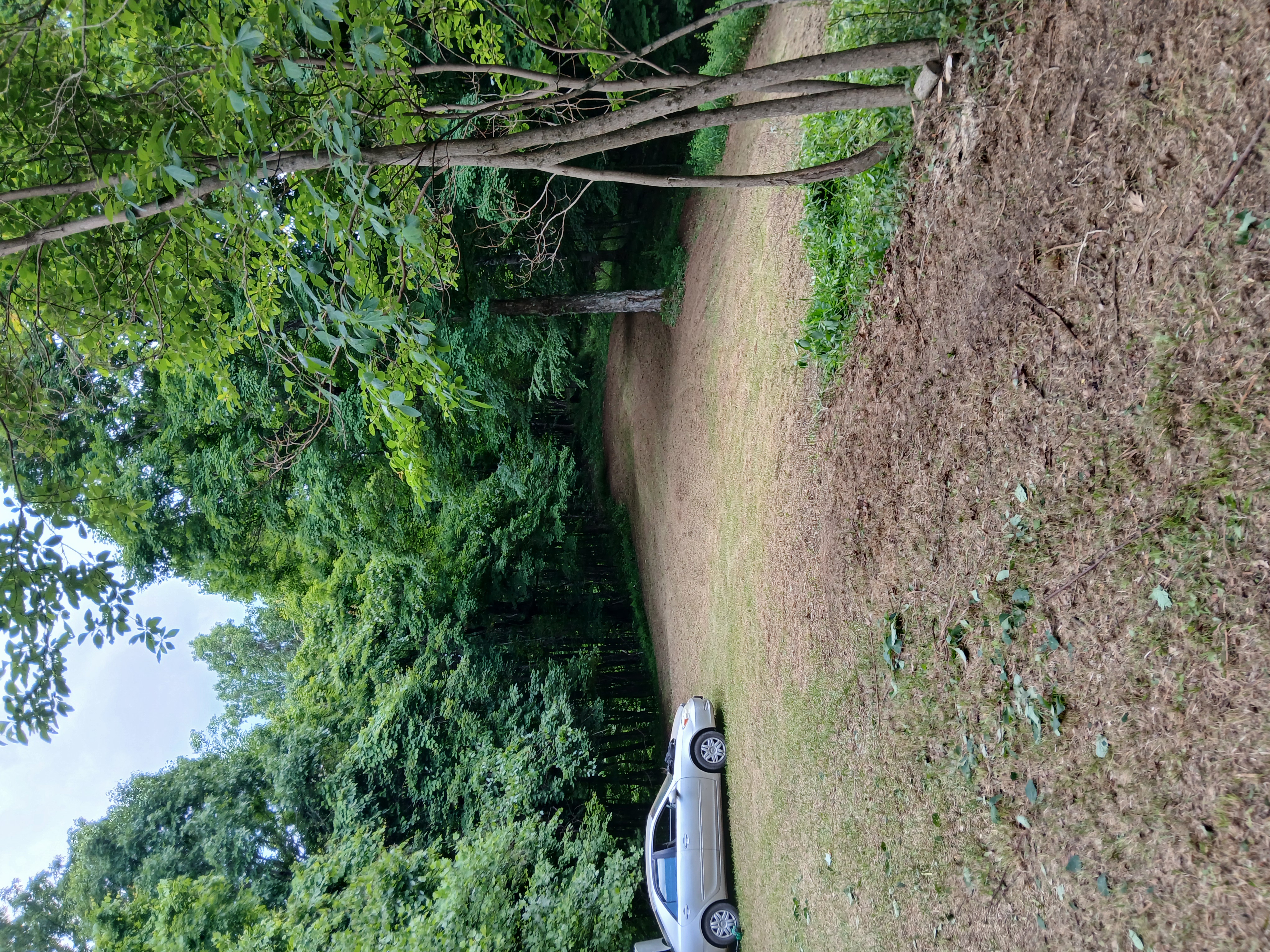 Bamber Lane Overhaul field after photo