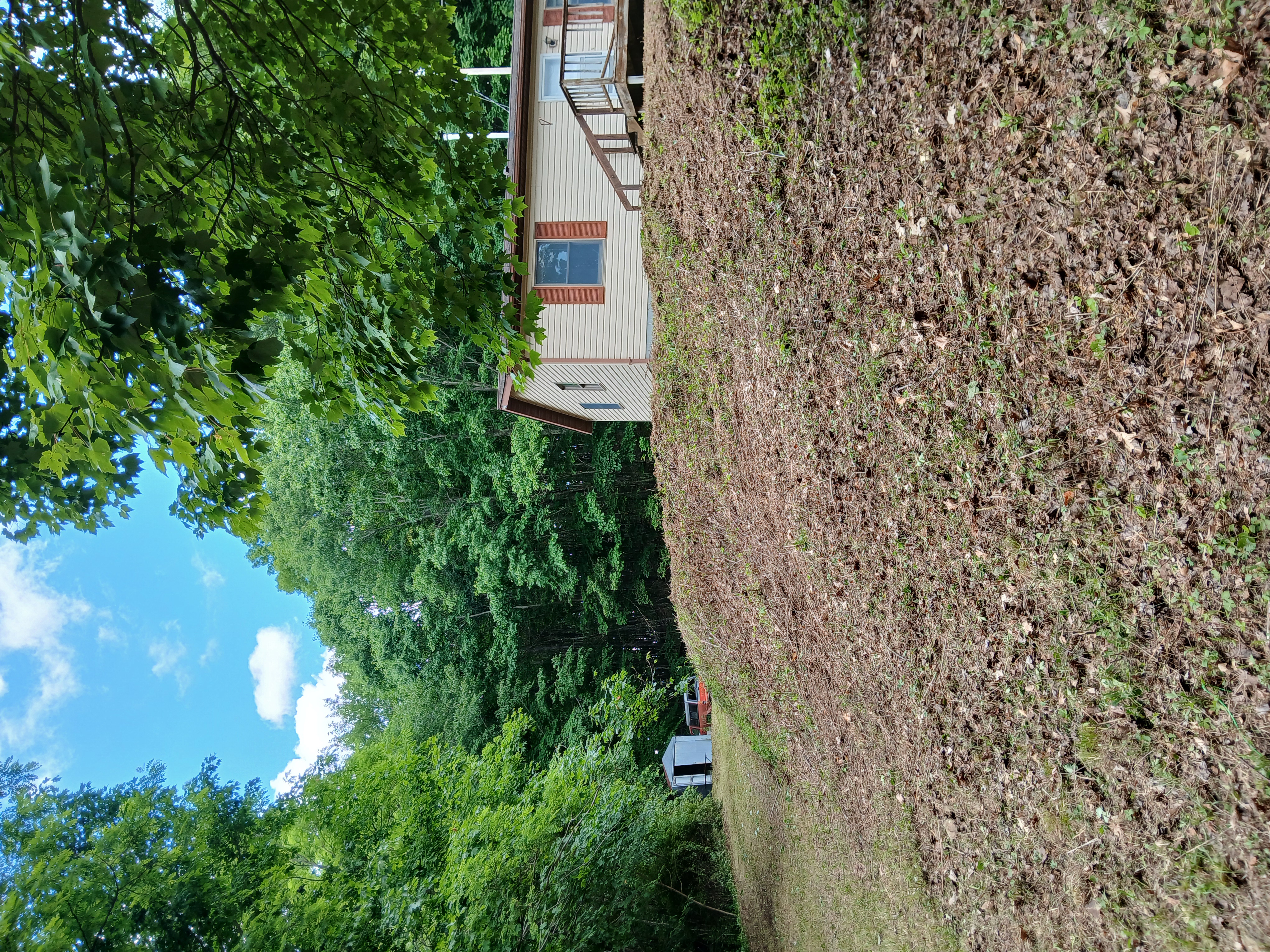 Bamber Lane Overhaul hillside after photo