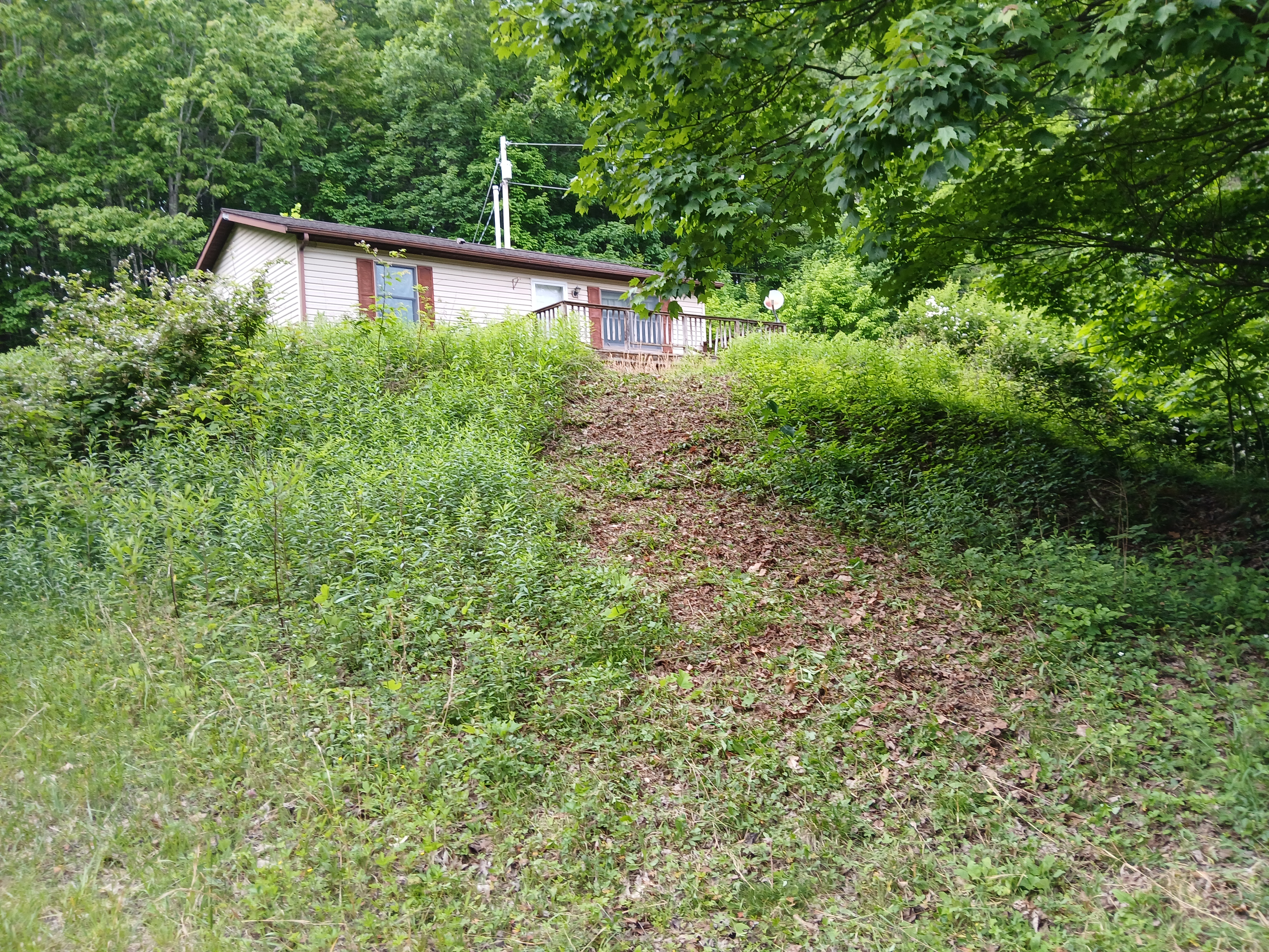 Bamber Lane Overhaul hillside before photo